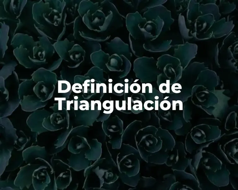 Definición de Triangulación