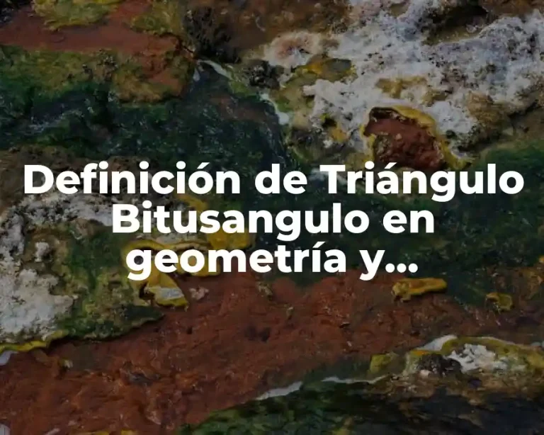 Definición de Triángulo Bitusangulo en geometría y trigonometria