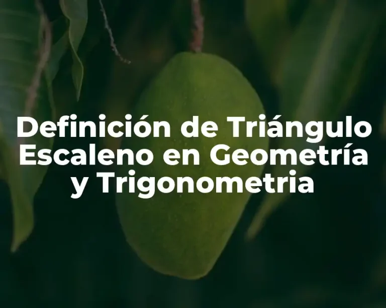 Definición de Triángulo Escaleno en Geometría y Trigonometria