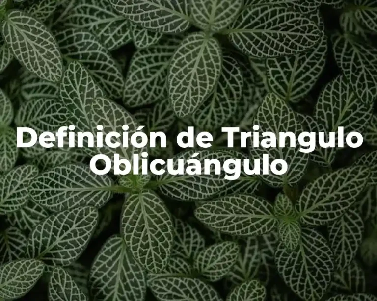 Definición de Triangulo Oblicuángulo