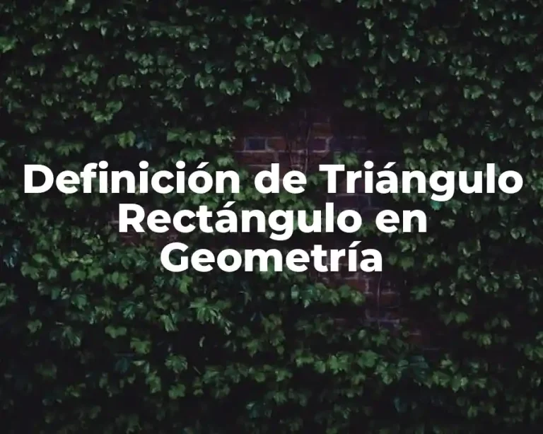 Definición de Triángulo Rectángulo en Geometría