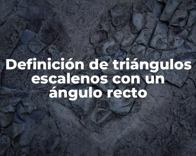 Definición de triángulos escalenos con un ángulo recto
