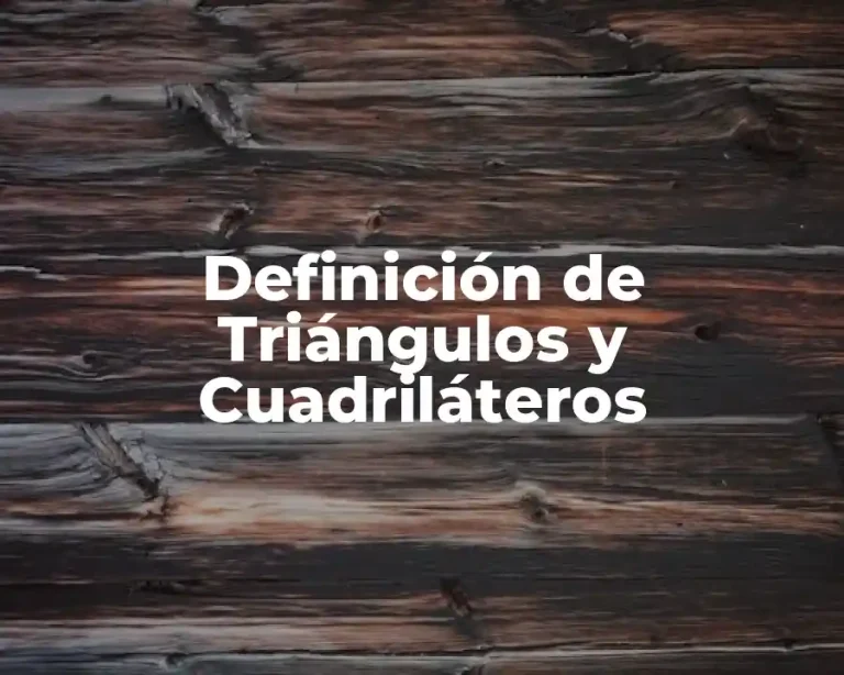 Definición de Triángulos y Cuadriláteros