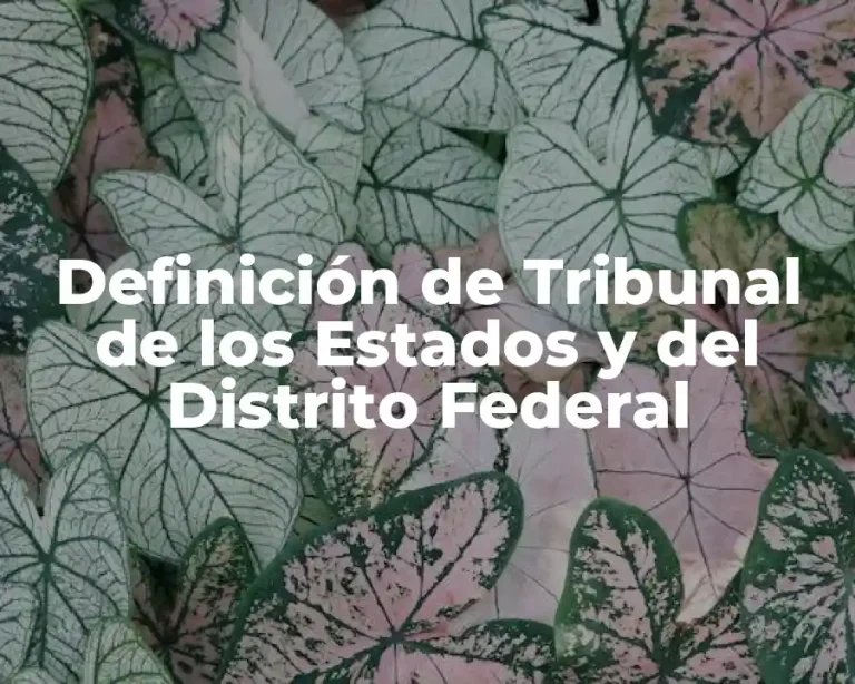 Definición de Tribunal de los Estados y del Distrito Federal