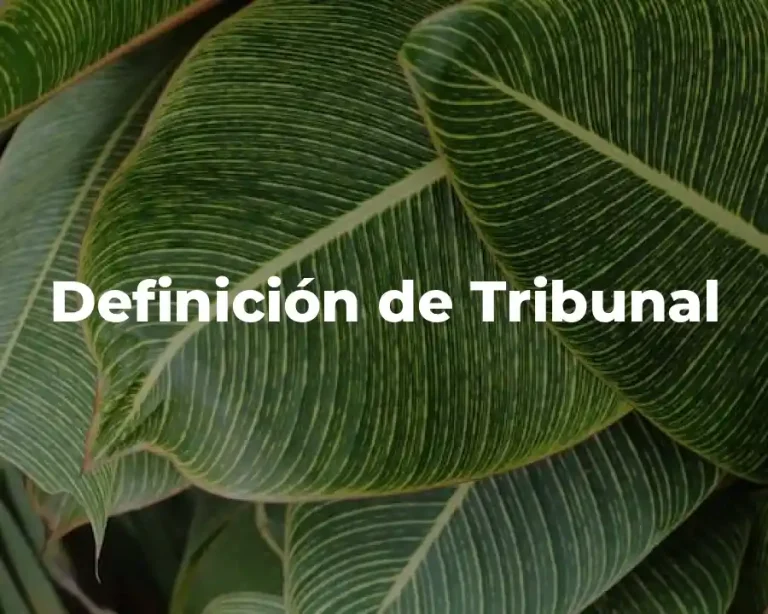 Definición de Tribunal