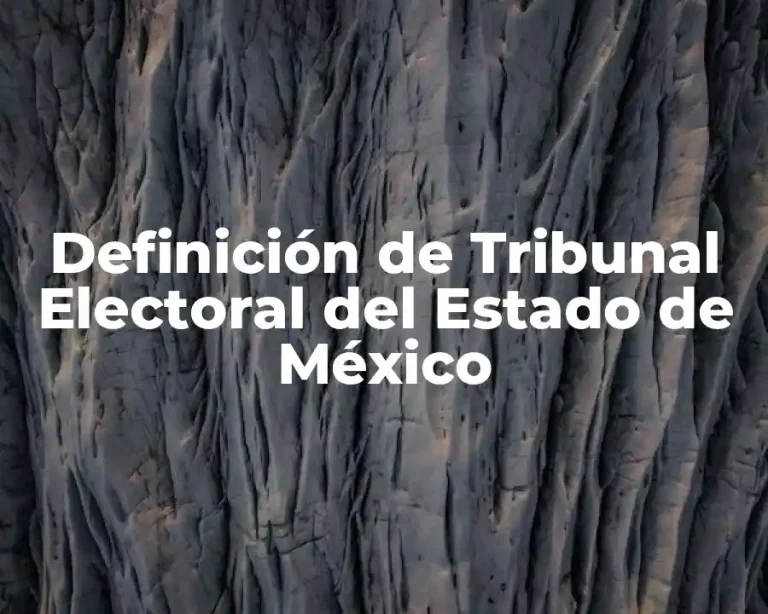 Definición de Tribunal Electoral del Estado de México