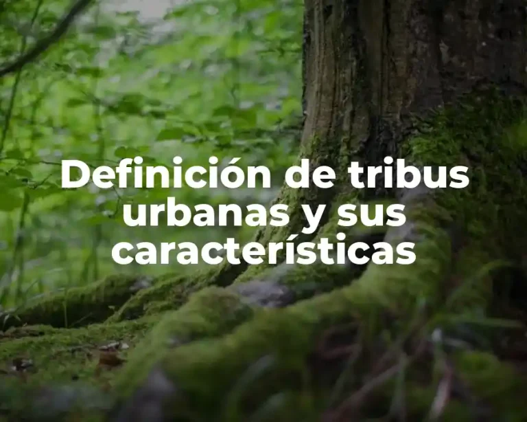 Definición de tribus urbanas y sus características