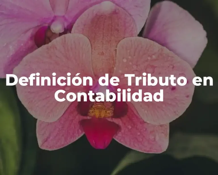 Definición de Tributo en Contabilidad