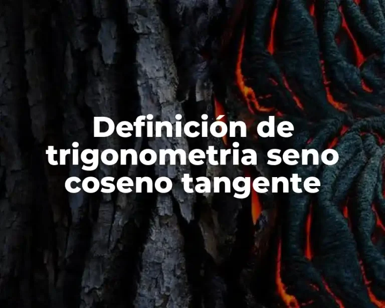 Definición de trigonometria seno coseno tangente
