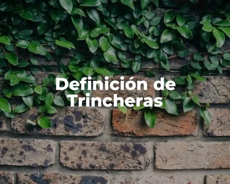 Definición de Trincheras