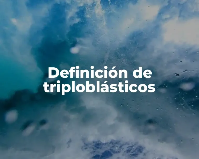 Definición de triploblásticos