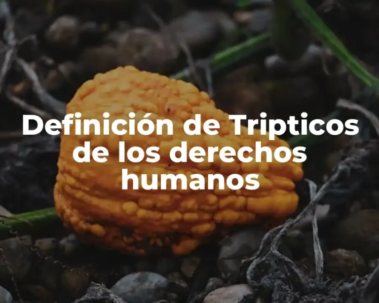 Definición de Tripticos de los derechos humanos