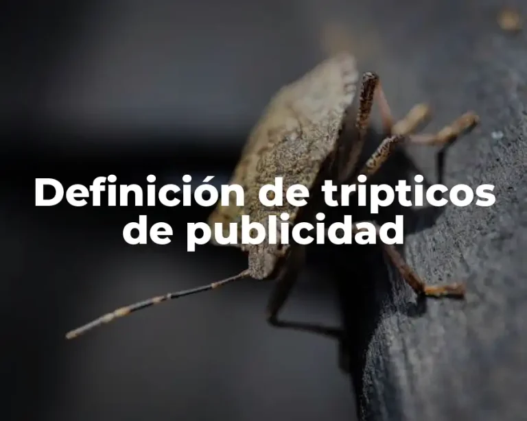 Definición de tripticos de publicidad