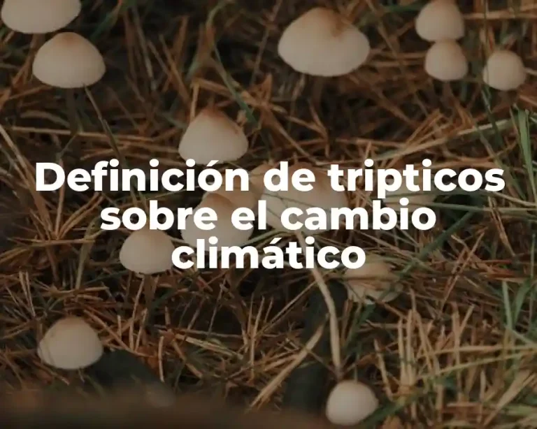 Definición de tripticos sobre el cambio climático