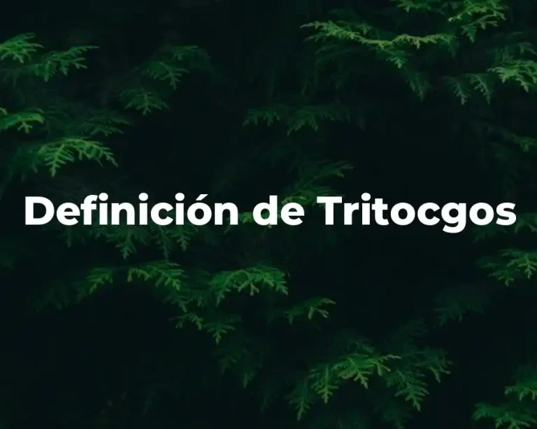 Definición de Tritocgos
