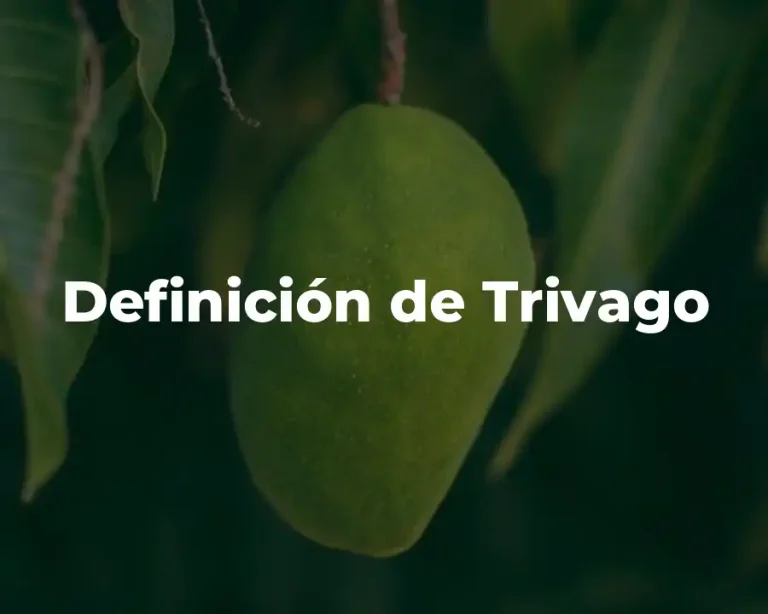 Definición de Trivago