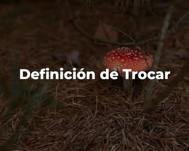 Definición de Trocar