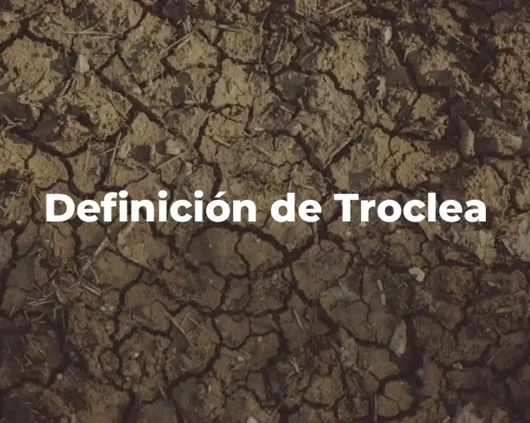 Definición de Troclea