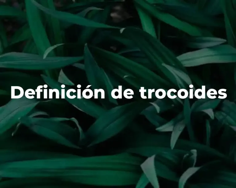Definición de trocoides