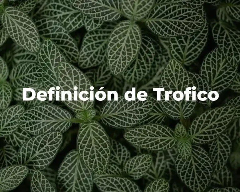 Definición de Trofico