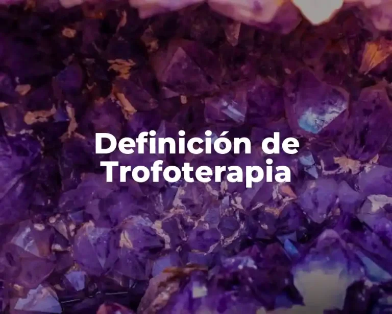Definición de Trofoterapia