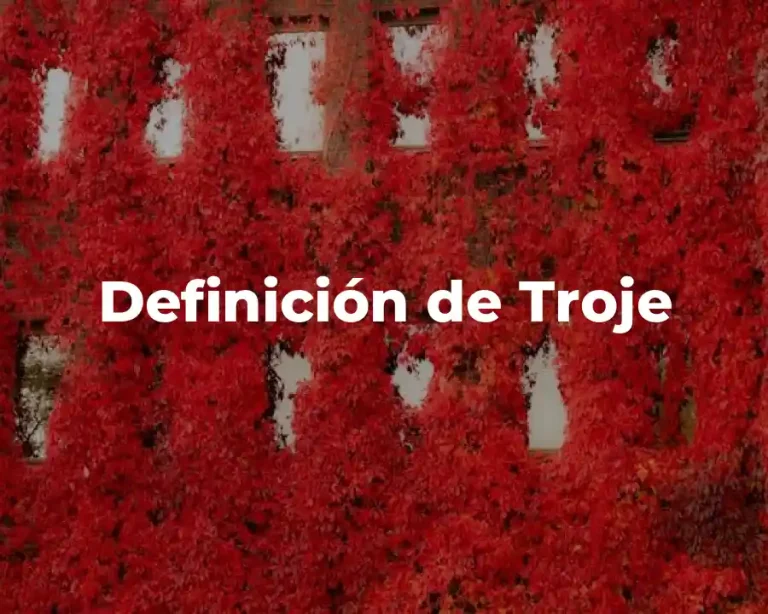 Definición de Troje