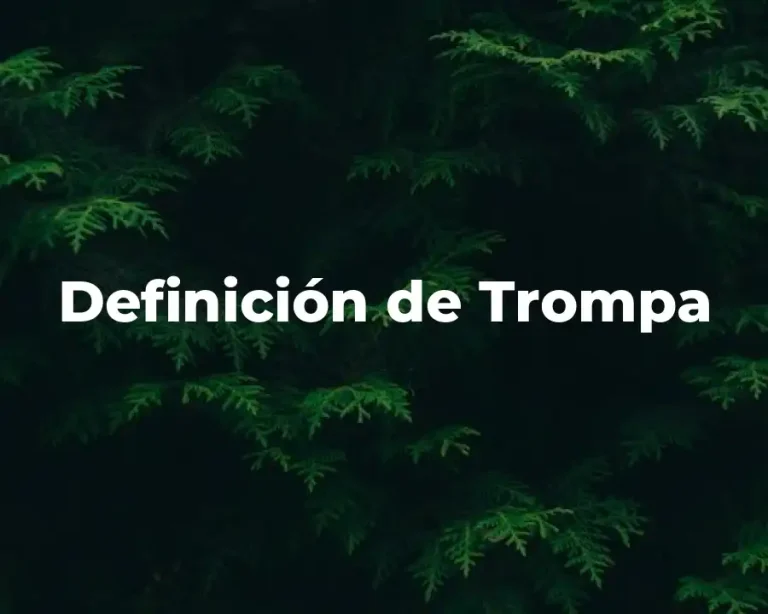 Definición de Trompa
