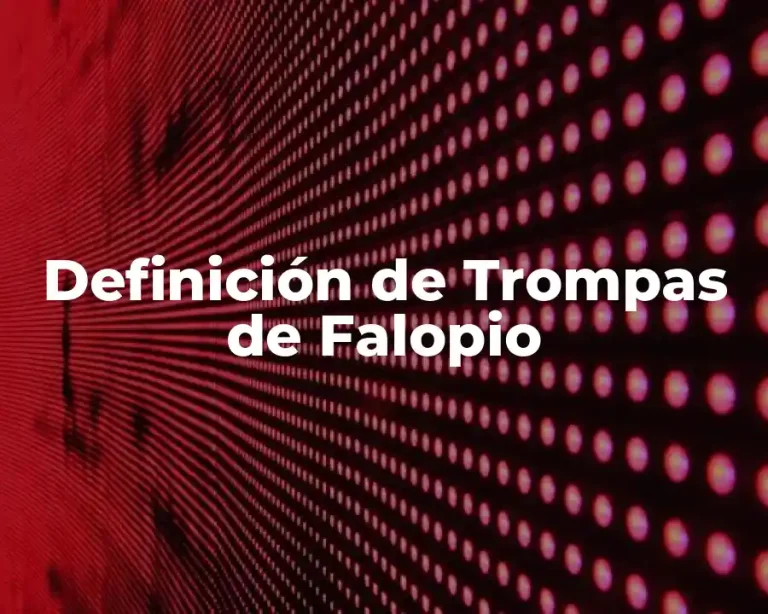 Definición de Trompas de Falopio