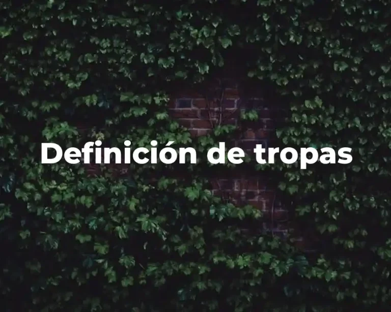 Definición de tropas