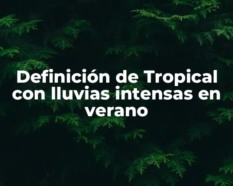 Definición de Tropical con lluvias intensas en verano