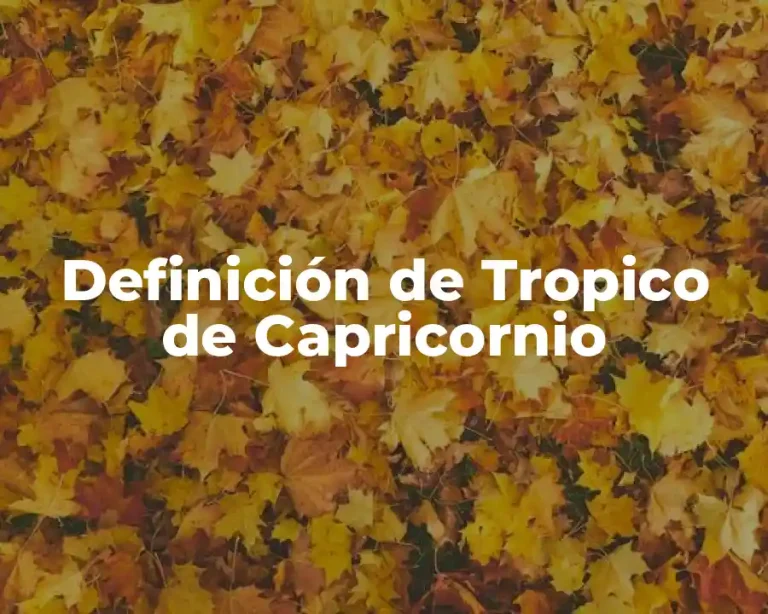 Definición de Tropico de Capricornio