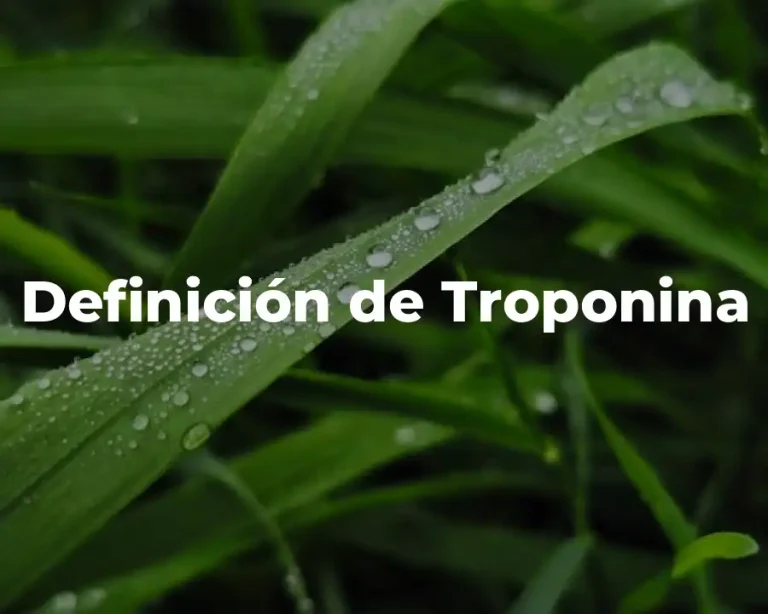 Definición de Troponina