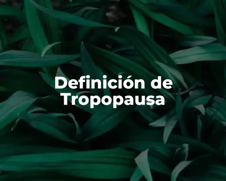Definición de Tropopausa