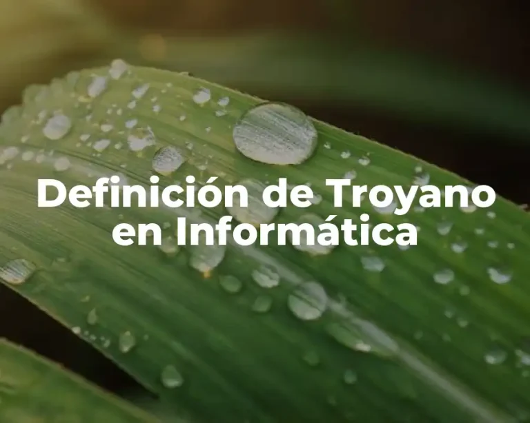 Definición de Troyano en Informática