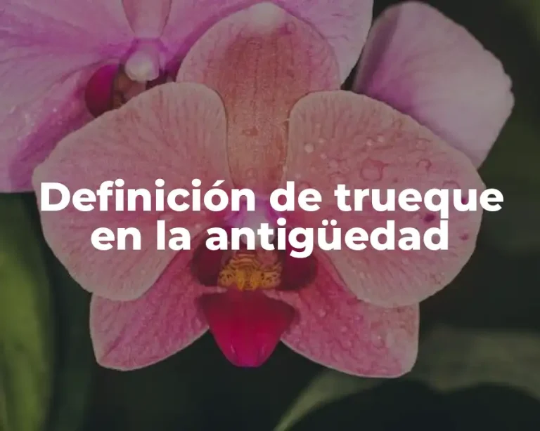 Definición de trueque en la antigüedad