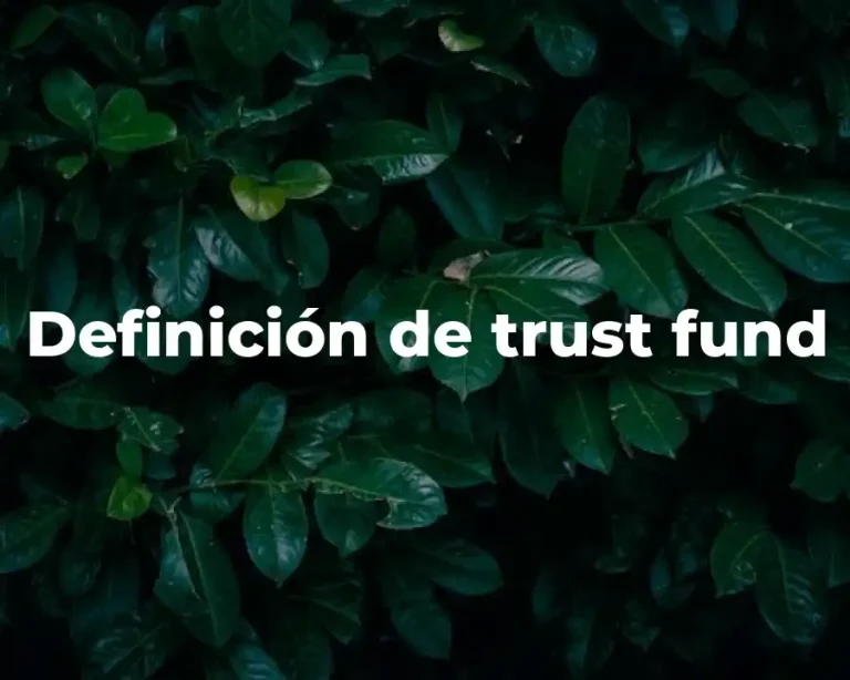 Definición de trust fund