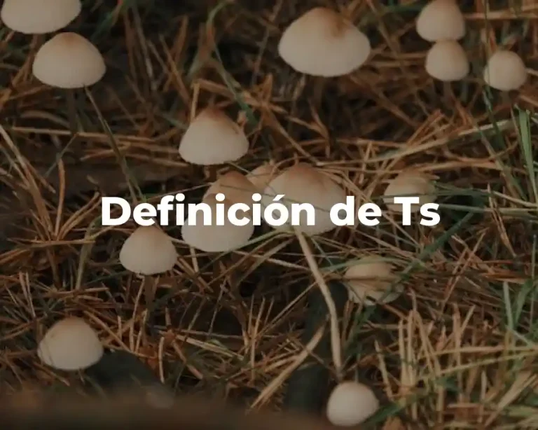 Definición de Ts