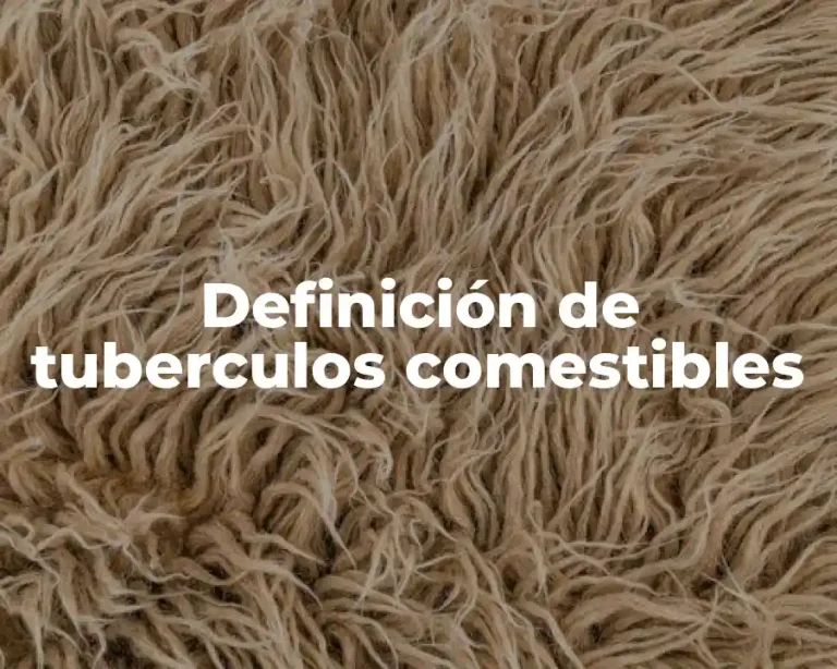 Definición de tuberculos comestibles