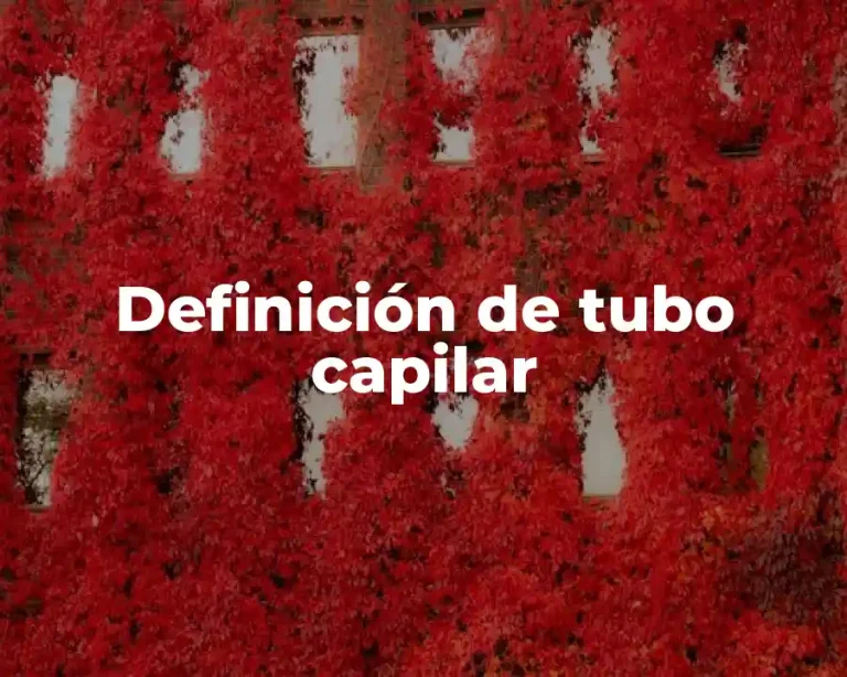 Definición de tubo capilar