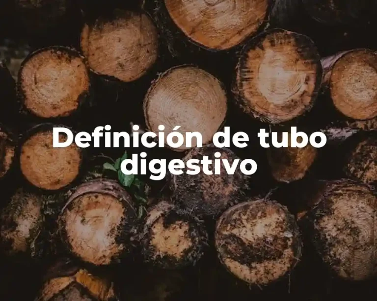 Definición de tubo digestivo