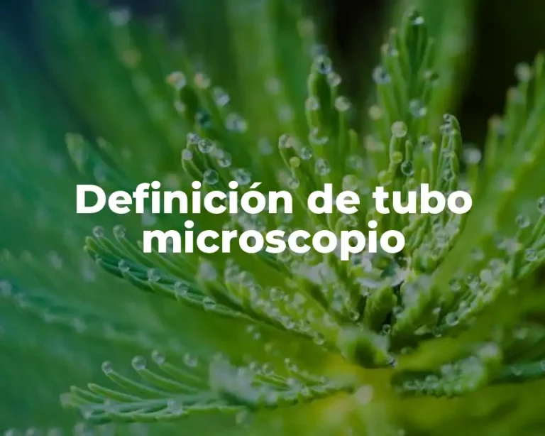 Definición de tubo microscopio