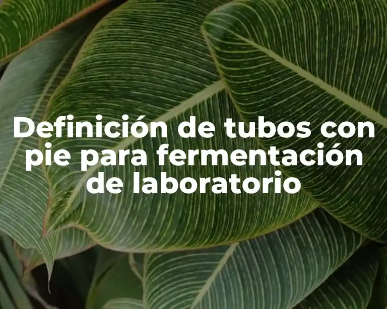 Definición de tubos con pie para fermentación de laboratorio