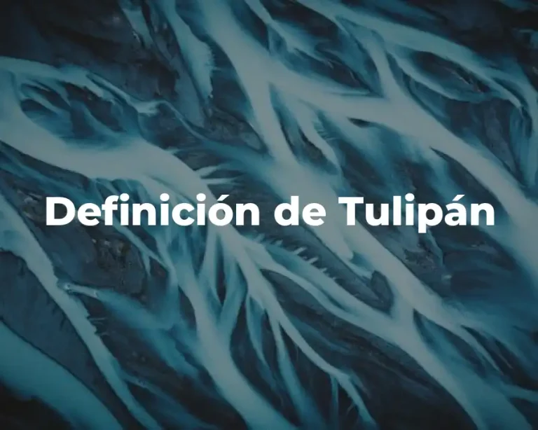 Definición de Tulipán
