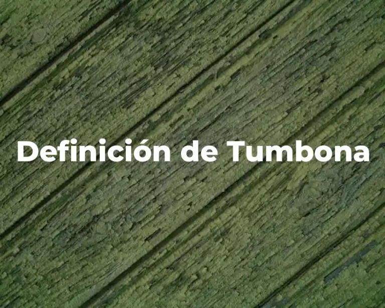Definición de Tumbona