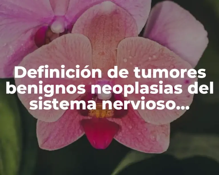 Definición de tumores benignos neoplasias del sistema nervioso central