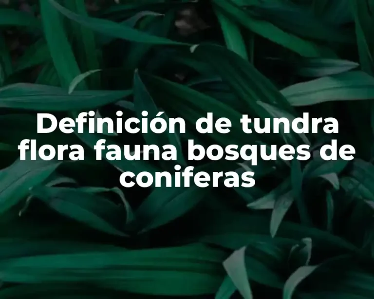 Definición de tundra flora fauna bosques de coniferas