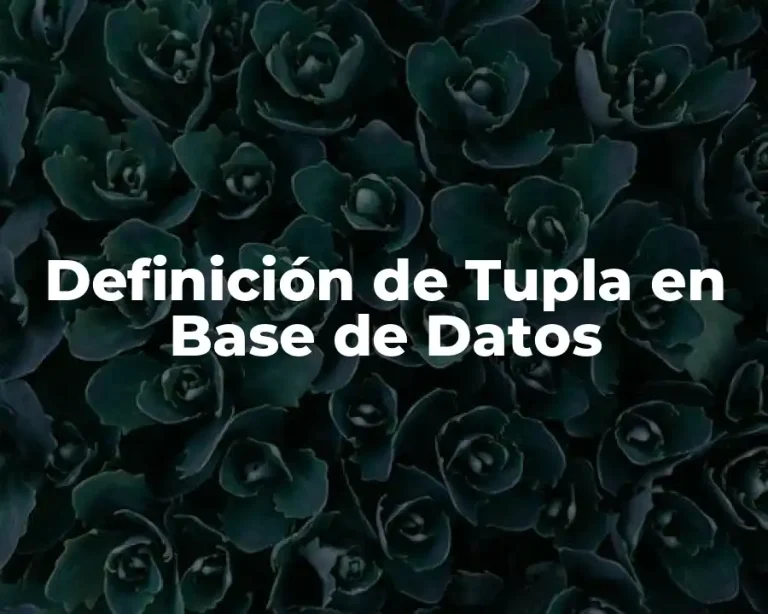 Definición de Tupla en Base de Datos