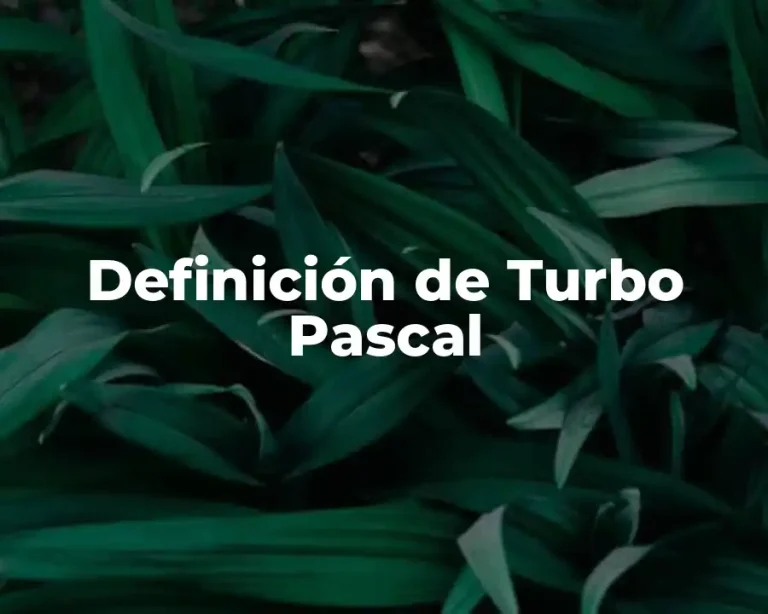 Definición de Turbo Pascal