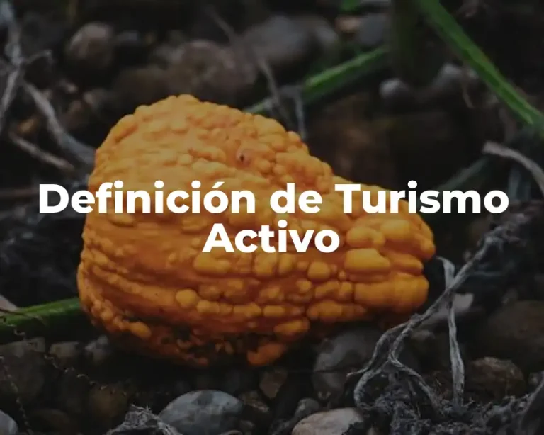 Definición de Turismo Activo