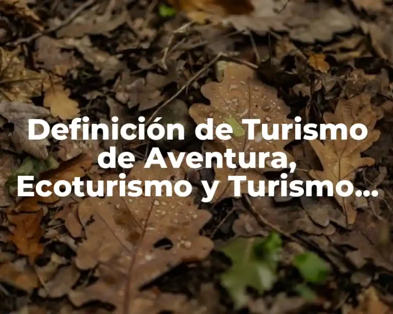Definición de Turismo de Aventura, Ecoturismo y Turismo Rural
